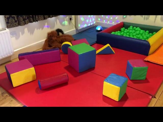 Soft Play Birthday Party. A Ball Pit, Soft Play And Games!