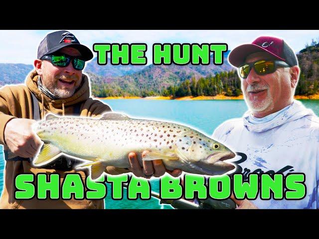 THE HUNT - A Quest For Trophy Brown Trout Fishing - Shasta Lake Edition