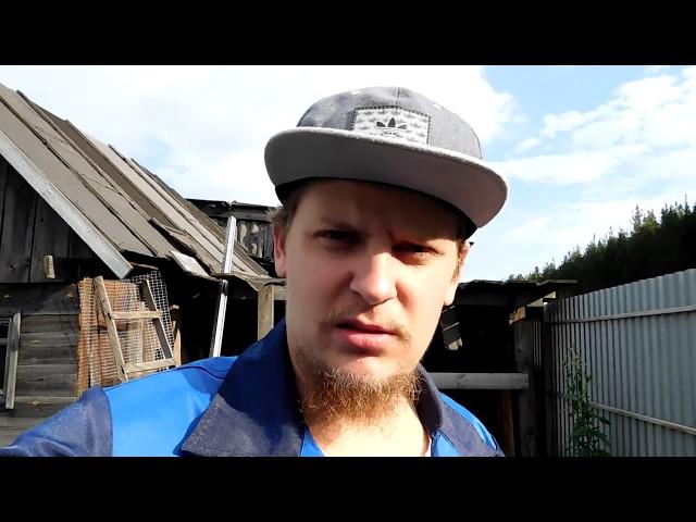 НЕМНОГО НОВОСТЕЙ // Частичный демонтаж сарая/огурцы/томаты/#XATASKRAU