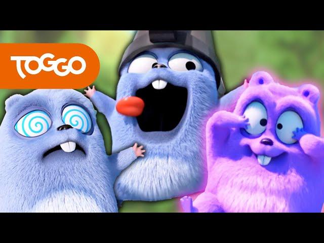 Grizzy und die Lemminge | Die Lemminge eskalieren | BEST OF TOGGO #175 | TOGGO Serien