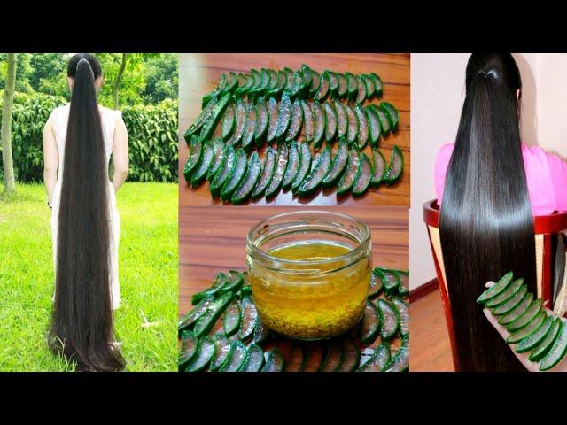 7 दिन मे बालों को 3 से 5 इंच तक लंबा- मोटा,घना और मजबूत करने का अचूक उपाय Aloe Vera For Hair Growth