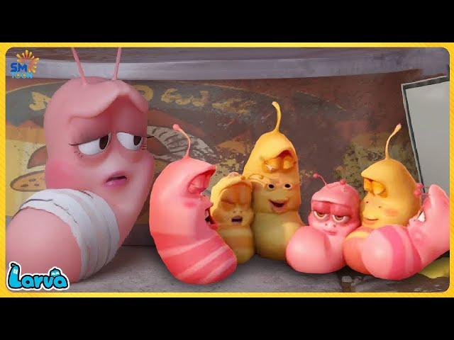 LARVA CARTOONS FULL EPISODE: BIG FAMILY | CARTOONS FULL MOVIE | FUNNY CARTOON COMPILATION