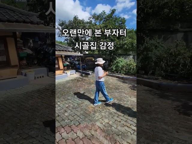 촌집 부자되고 편안한 집 감정 풍수 시골주택 양택 명당  #이것