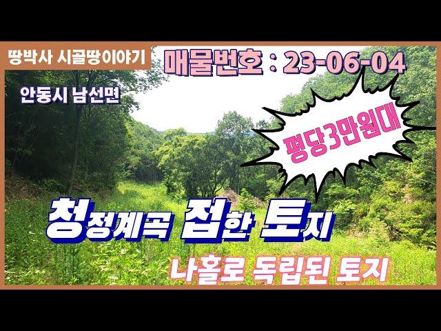 (23. 06. 04) 국유림으로 둘러싸인 골짜기 막장 자연인토지. 맑은 계곡물 졸졸 흐르는 시내 인접한 곳에 컨테이너  놓고 힐링 할 수 있는 곳.