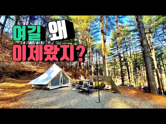 4K [포토라이tv] 사이트갯수를 모름 | 여길 왜 이제왔나 | 멋진 숲속배경 | 생일캠핑 | 여기 참 좋다 | 캠핑장의 이상향 | 유식물원캠핑장