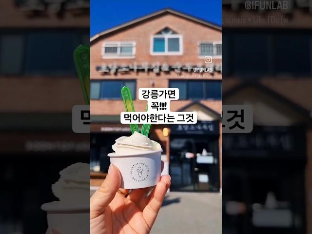 강릉가면 꼭 먹어야할 음식 #순두부젤라또