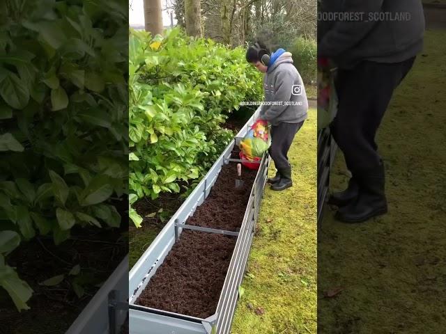 Mini #foodforest in raised beds and on a fence #permaculture #permacultureprinciples #gardening