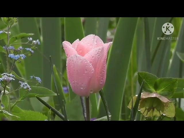 Improve mind power #3 meditation meditation music calm mind relex mind positive thoughts