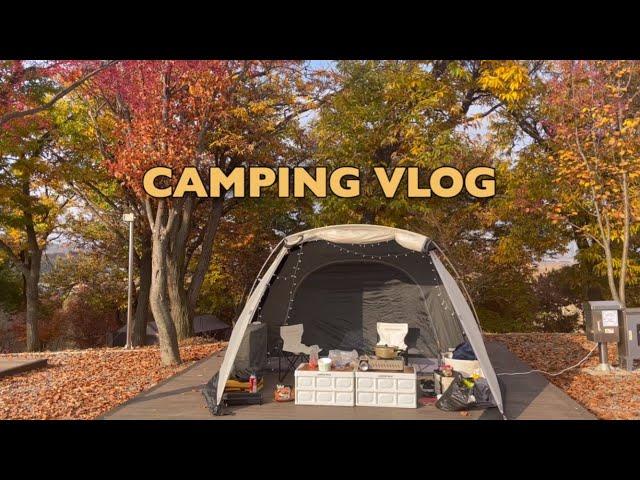 Ambitious camping equipment for the first camping | Camping Vlog️