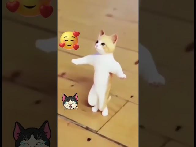 patali kamariya boli hi hi hi funny video ayaan Kitty channel
