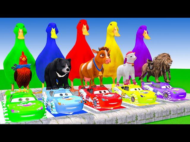 5 Giant Duck Cartoon, Cow, Lion, Bear, Tiger, Paint Wild Animals Crossing Fountain Animation