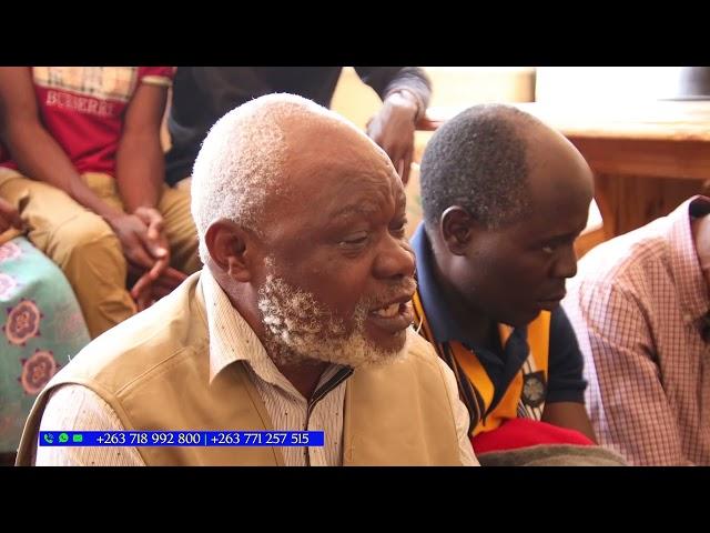 Mombe dzehumai dzinofambiswa sei? Nzwisisai dare iri maZimba-Chief Ngezi's traditional court