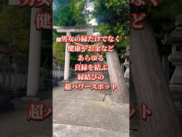 ️見逃し厳禁️あらゆる良縁を結ぶ愛知県の縁結びの超絶パワースポット【白山宮】 #縁結び #運気上昇 #スピリチュアル #パワースポット #遠隔参拝
