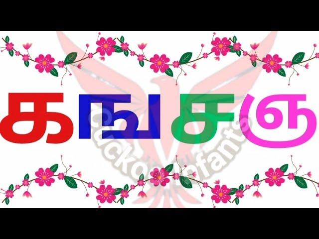 தமிழ் உயிர்மெய் எழுத்துக்கள்|தமிழ் எழுத்துக்கள்|Tamil Consonants|க ங ச ஞ ட ண த ந ப ம ய ர ல வ ழ ள ற ன