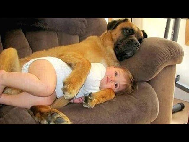 When Your Dog Claim Your Baby As Their Special Friend 