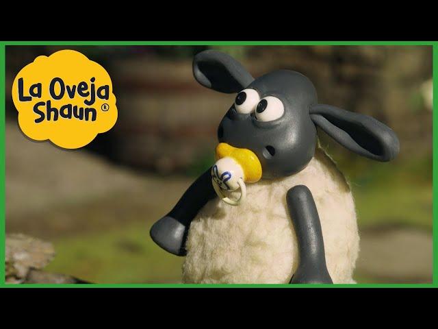 La Oveja Shaun  Temporada 3 Cada Episodio Épico  Dibujos animados para niños 