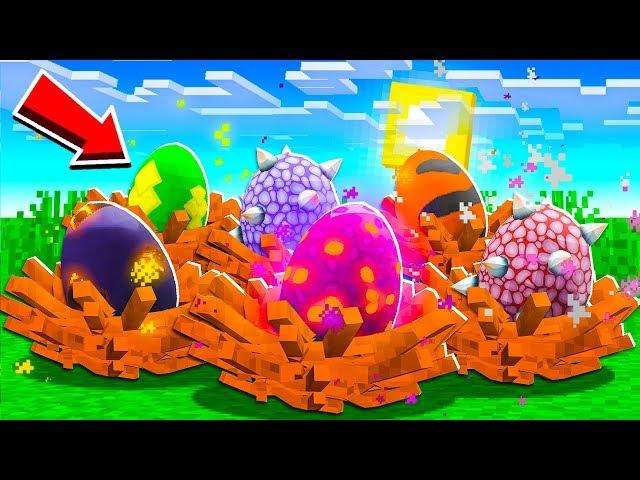 HATCHING 7 *SECRET* DRAGON EGGS IN MINECRAFT!