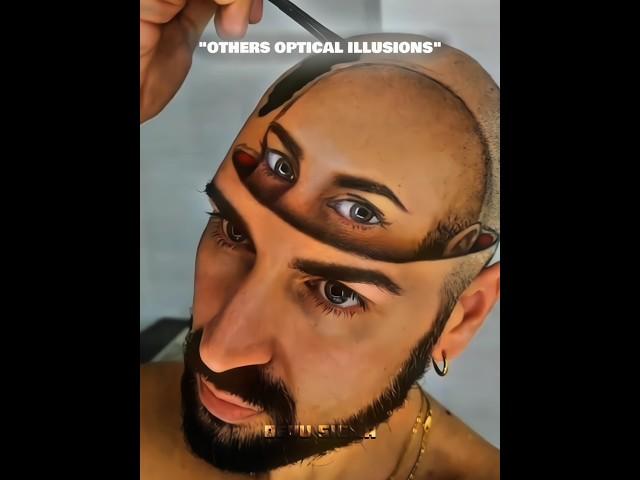 The Last Optical Illusion 