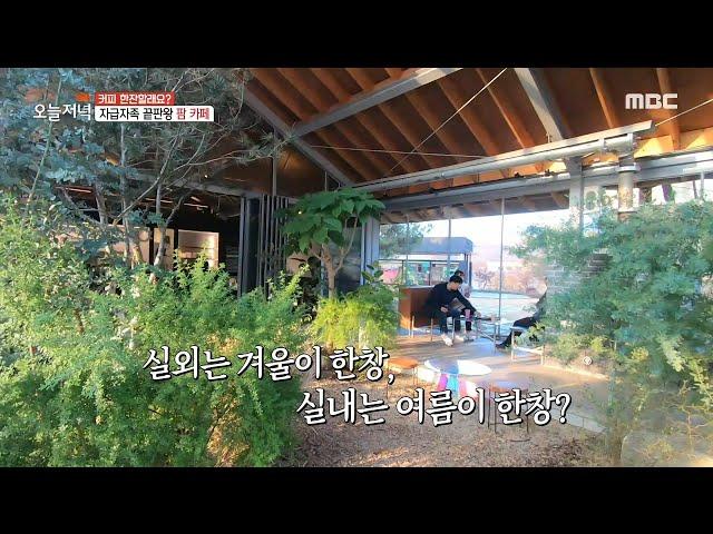 [Tasty] Palm Cafe, the ultimate self-sufficiency, 생방송 오늘 저녁 221115