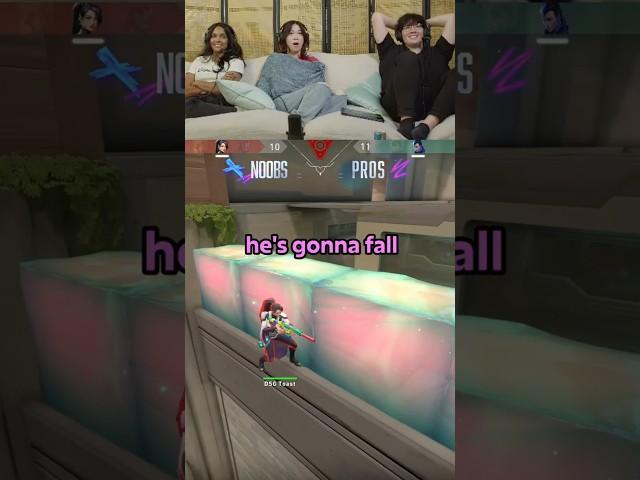 toast has been watching too many tiktoks
