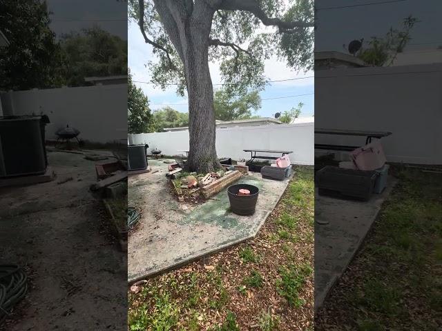  Clearwater High and Dry 3/2 Priced To Move Quick! 