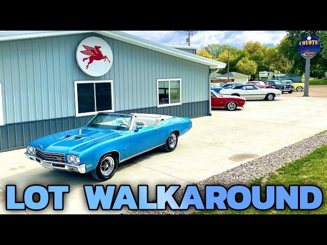 Coyote Classics Lot Walkaround