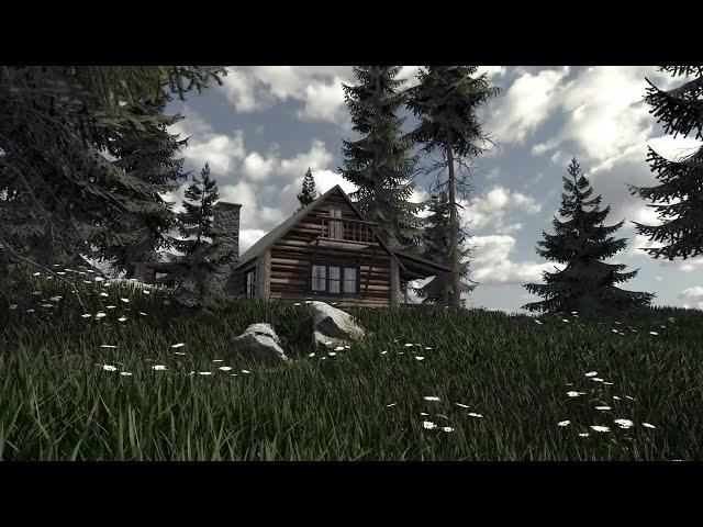 pinkpocketTV UE5 Forest Environment Scene made in Unity I 4K