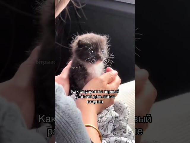 Коллеги, только маленькие задачки!