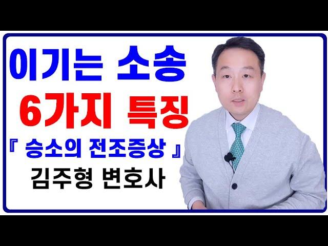 민사소송 이기는 소송의 6가지 특징 (승소의 전조증상) 김주형 변호사