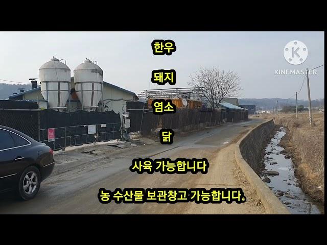 목장용지 "싼" 가격으로 매매합니다