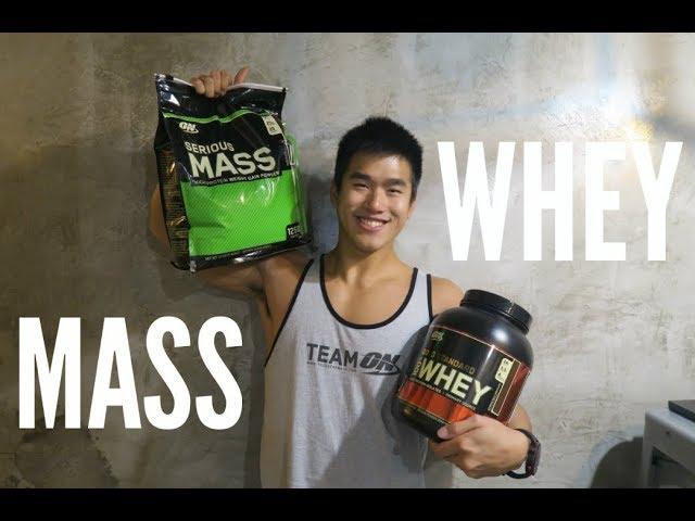 WHEY PROTEIN or MASS GAINER? (Tips for Beginner)