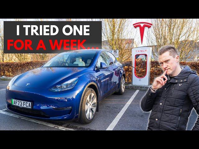 TESLA Model Y 2024 Review! | Here are my thoughts...