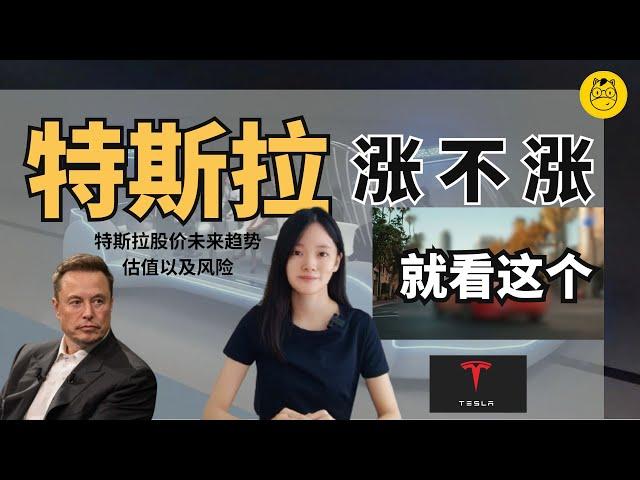 Robotaxi 面世｜Tesla 股价竟然？