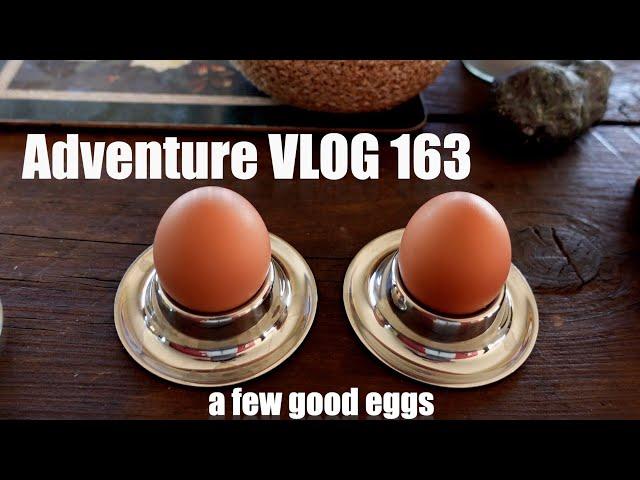 Adventure VLOG 163 chch jetboat whitebait deer hunt gutting field dressing cheeseburger eggs