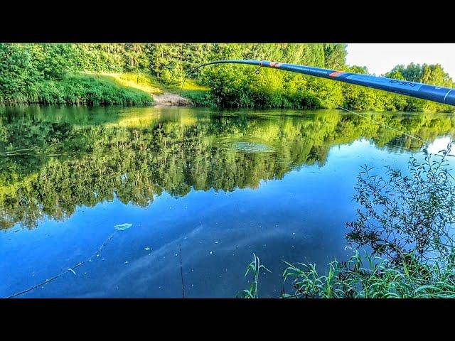 5 МИНУТ БОРЬБЫ С ГИГАНТОМ И МОРЕ АДРЕНАЛИНА!РЫБАЛКА НА ПОПЛАВОК У ДОМА!