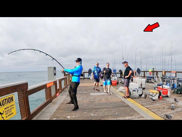 Fish of a Lifetime Caught from the Gulf Pier!