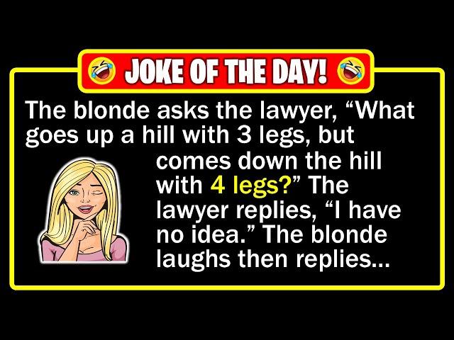  BEST JOKE OF THE DAY! - A lawyer was sitting next to a blonde, during a flight...| Funny Dad Jokes