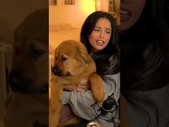 I adopted a new doggie