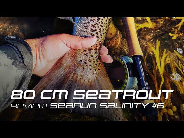 80 CM COASTAL SEATROUT (x2)  Review of SALINITY #6 by Christian Bjergsø