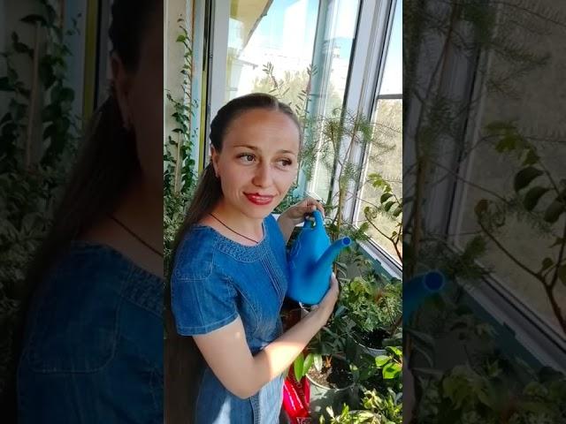 Счастье здесь и сейчас 
