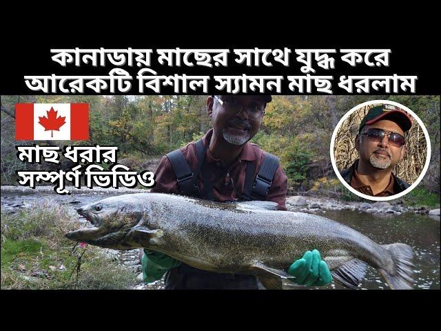 কানাডায় মাছের সাথে যুদ্ধ করে আরেকটি বিশাল স্যামন মাছ ধরলাম। Salmon Fishing at Highland Creek