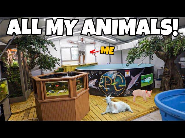 ALL of My ANIMALS & FISH PONDS in ONE video!!