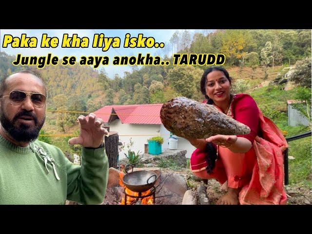 पका के खा लिया जंगल से आया.. TARUDD, Jungle se aaya aur paka ke kha liya  | Pahadi food, Kand mool