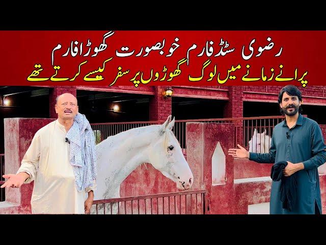 Rizvi Stud Farm Gujranwala || Most beautiful stables and desi horse breed of Pakistan || best ideas