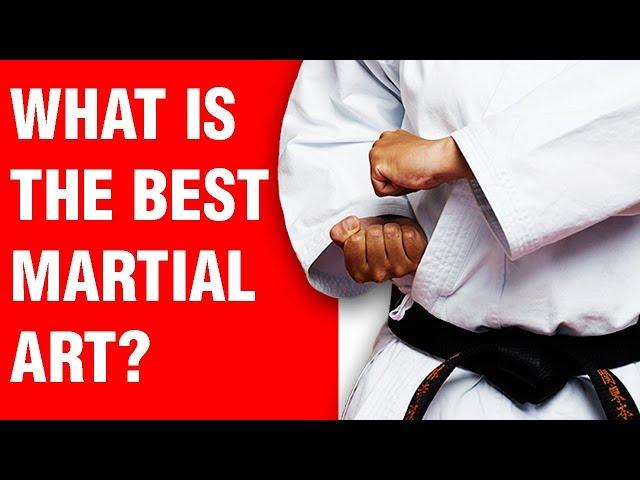 What is the Best Martial Art? | ART OF ONE DOJO