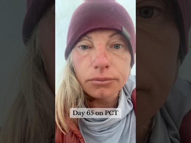 Day 65 on the Pacific Crest Trail #pct2024 #hikingroute #hiking #pacificcresttrail