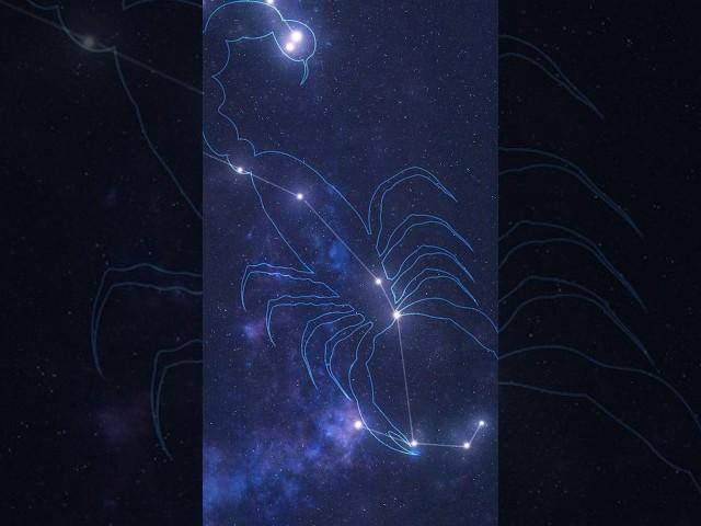 Scorpius Constellation Myth: The Tale of Orion and Scorpion #greekmythology #scorpius #astrology