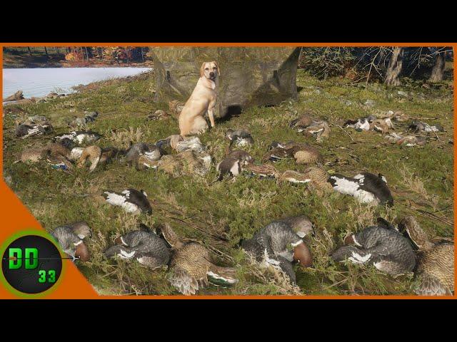 Chase Had His Best Duck Hunt Ever In The New England Mountains! Call Of The Wild