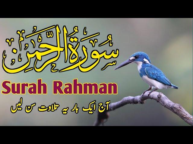 سورة الرحمٰن ||Surah Rahman beautiful recitation