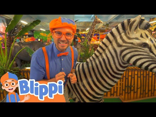 Blippi Visits Party Jungle! | Learn About Animals for Kids | Educational Videos for Kids